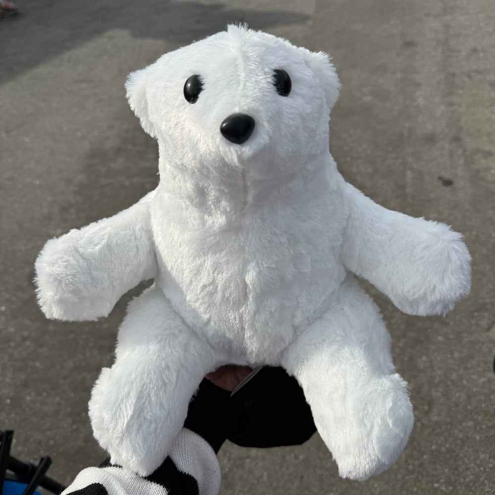 Image of Polar Bear