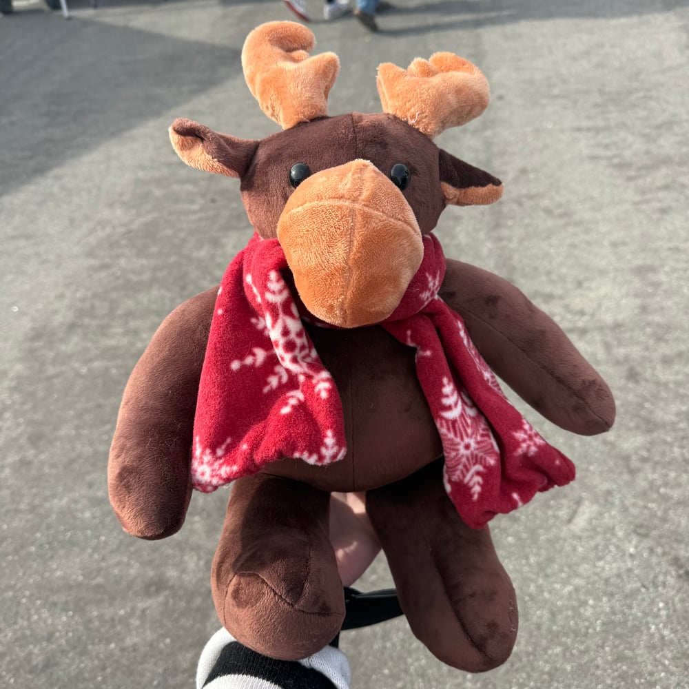 Image of Moose