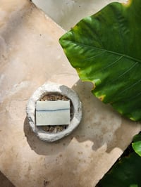 Image 1 of P L A Y A 