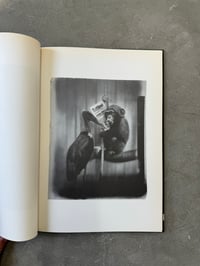 Image 8 of John Heartfield - Erect Lab