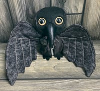 Image 1 of Crow Baby