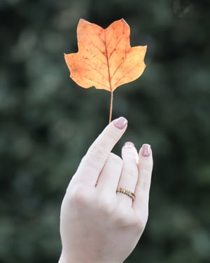 Image of  18ct gold 4mm oak leaf carved ring