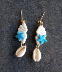 Image 3 of Scallop 
