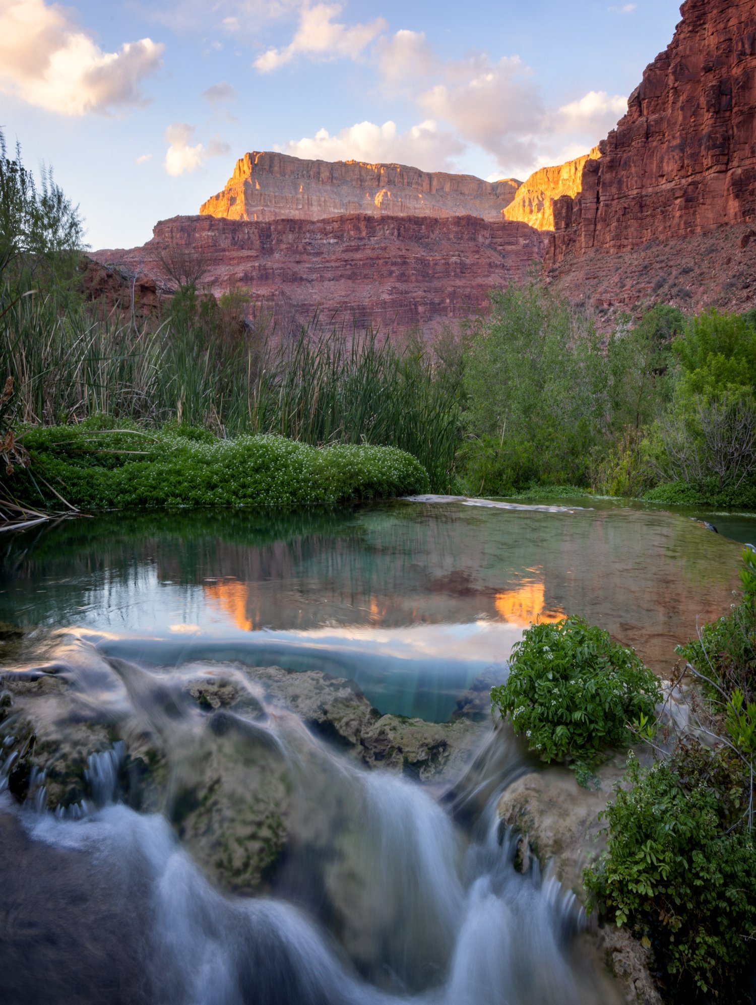 Image of Golden Evening