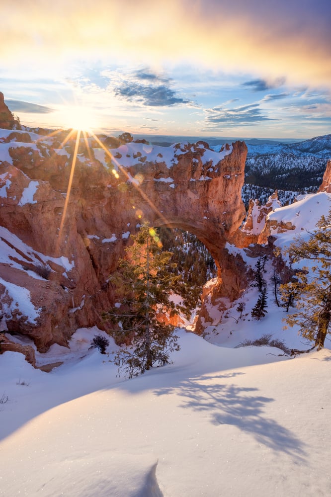 Image of Bryce Winter Bridge