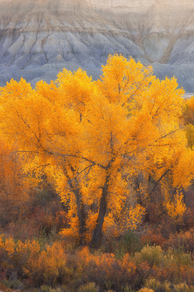 Image of Badlands Autumn