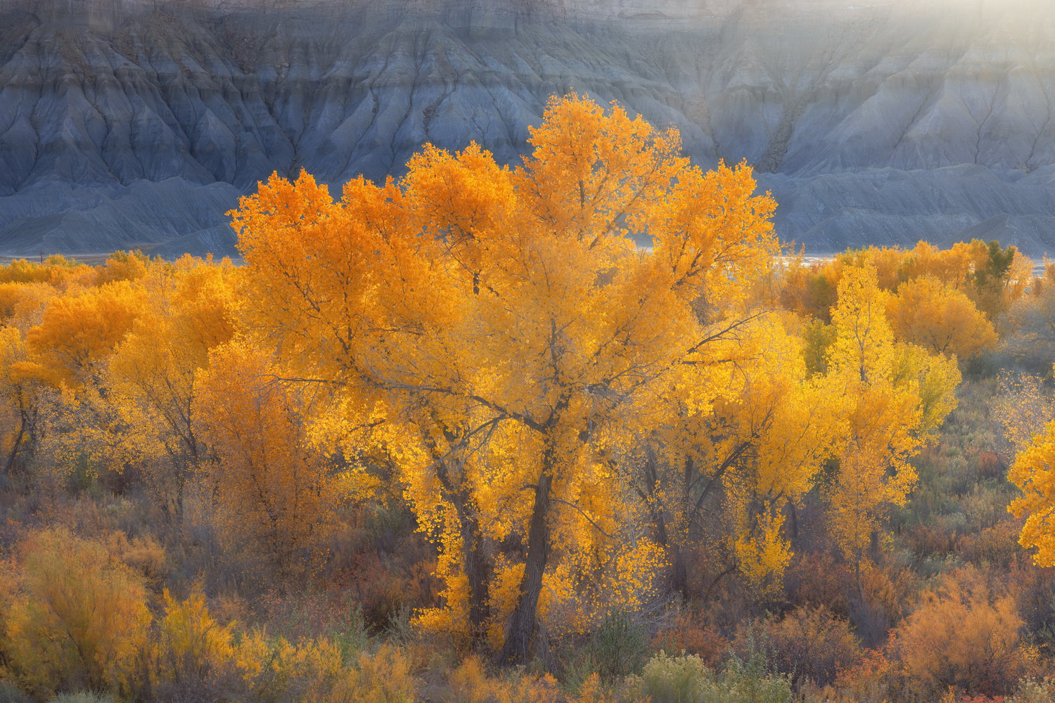 Image of Badlands Autumn II