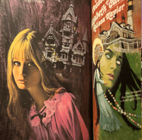 Image 2 of The Spectral Vision of Gothic Romance Melek Zertal  cover !