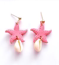 Image 1 of Starfish Coral