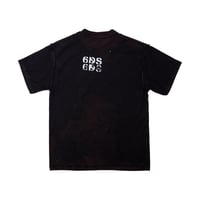 Image 2 of SWALLOW BLACK 6DS