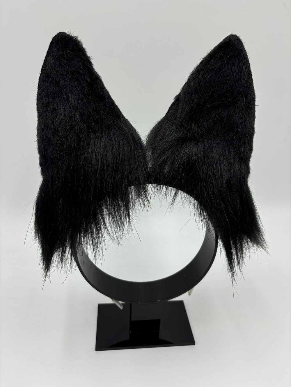 Image of Black Fox Ears