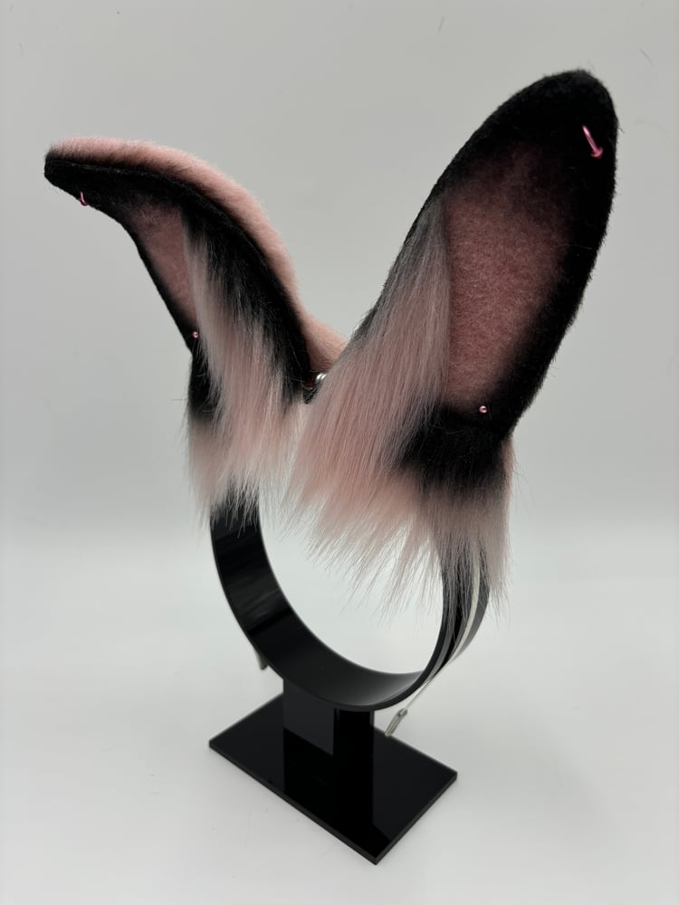 Image of Punky Pink Mini Bun Ears