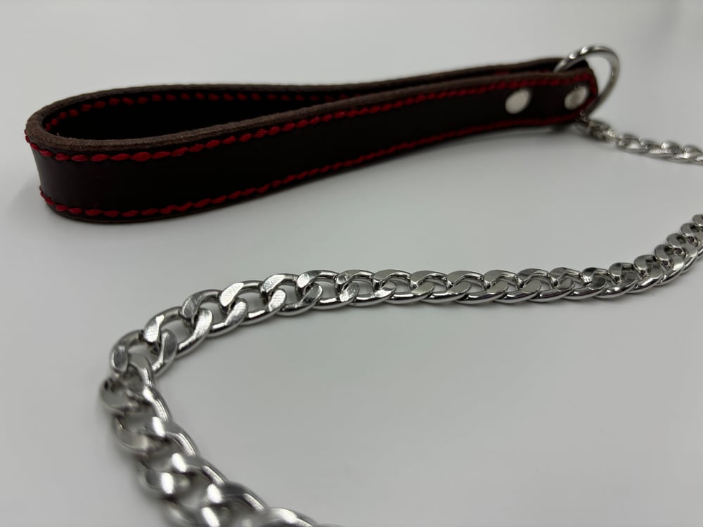 Image of Brown & Red With Silver Leather Leash