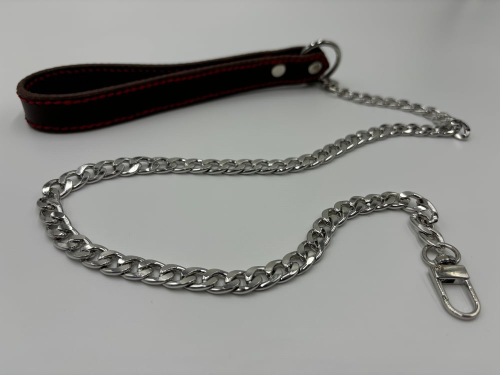 Image of Brown & Red With Silver Leather Leash 