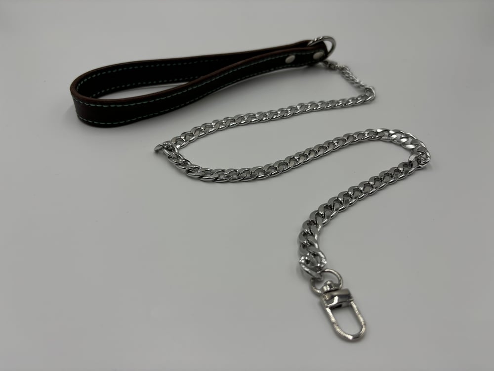 Image of Brown & Green Silver Leather Leash