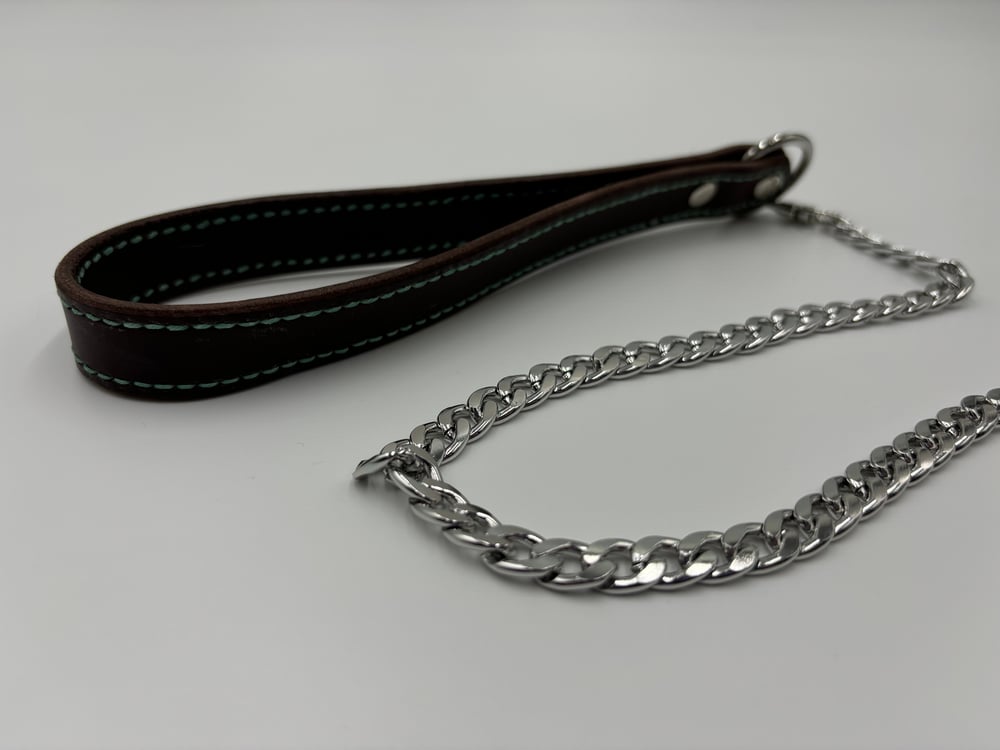 Image of Brown & Green Silver Leather Leash