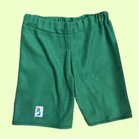 Image 4 of Shorts - size large