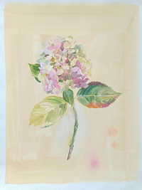 Pink Hydrangea original painting by Flora Roberts