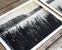 Image 4 of Reeds Diptych | Print