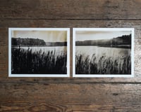 Image 1 of Reeds Diptych | Print