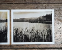 Image 3 of Reeds Diptych | Print