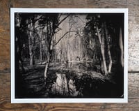 Image 1 of Dam in Briesetal | Print