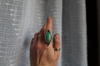 Image 1 of double peak turquoise ring (8.25)