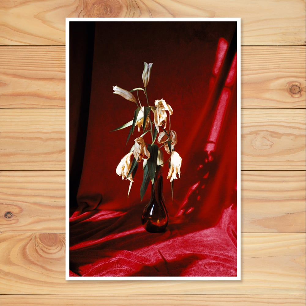 Image of Inkjet Print - Red flowers 30x45cm