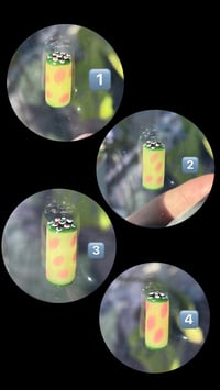Image 1 of HashDog x SteveH tips
