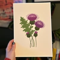 Thistle Print