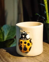 Image 2 of Lady Beetle Mug