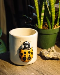 Image 1 of Lady Beetle Mug