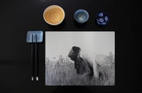 Image 1 of Set N°11 : Le piqueur et son panier