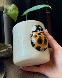 Image 4 of Lady Beetle Mug