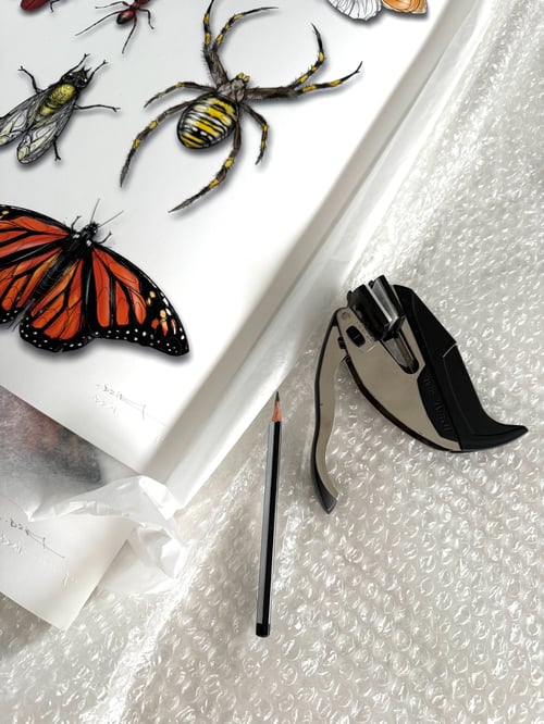 Image of DZIA'S ENTOMOLOGY CABINET