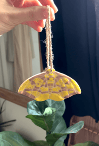 Image 3 of Imperial Moth Ornament