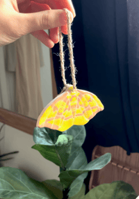 Image 2 of Imperial Moth Ornament