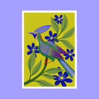 Image of L'oiseau aux couleurs acidulées