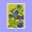 Image of L'oiseau aux couleurs acidulées