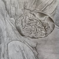 Image 17 of JAYWALK #2 JESSE MCMANUS, MAX BURLINGAME, ASHTON CARLESS, SAM SEIGEL & MORE