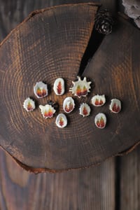 Image 1 of Ciondolo Larice🍂 -autunno-