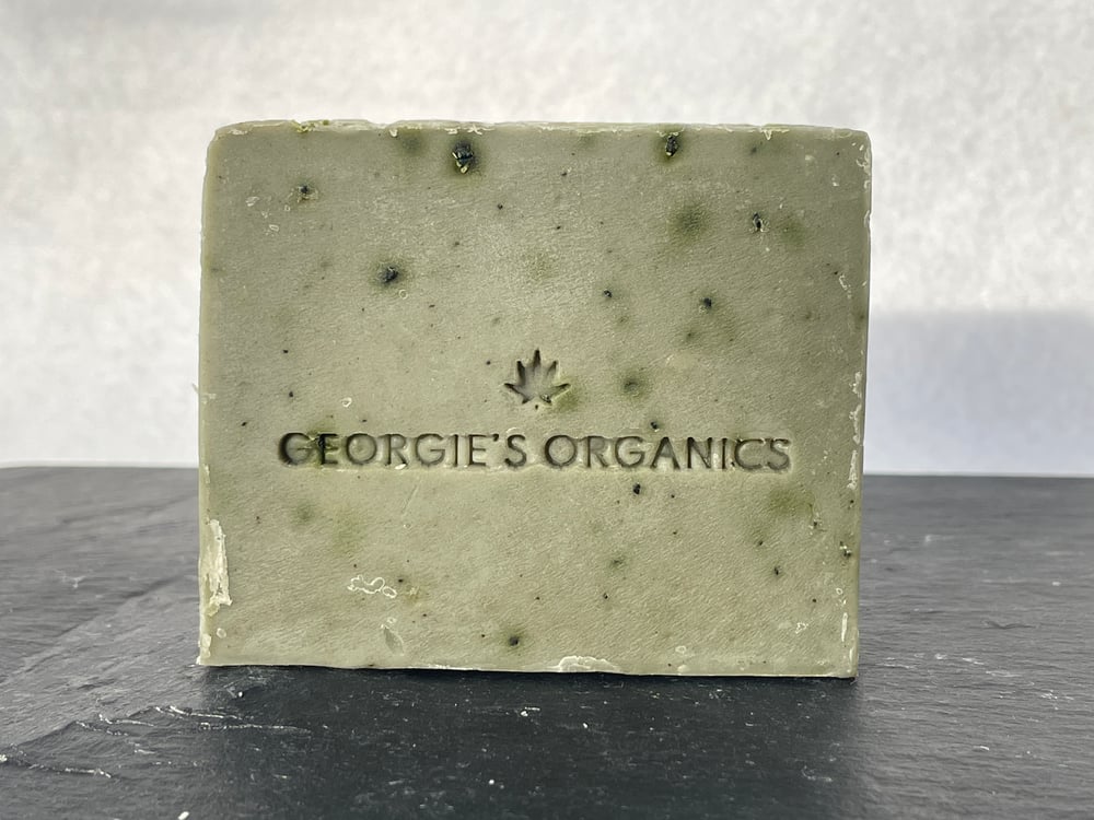 Image of FOREST - Cedar, Pine, Sandalwood, Ho Wood & Spirulina hempseed oil soap