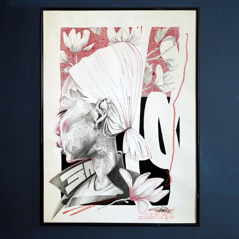 Image of - Magnolias -