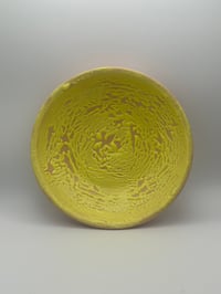 Image 1 of Gloopy Dish 2