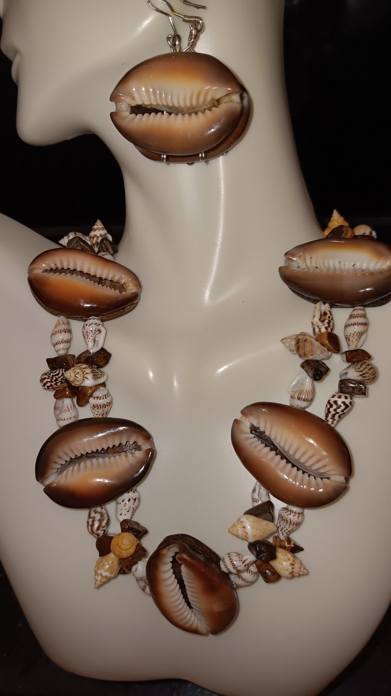 Image of  LARGE COWRIE SHELLS ACCENTED W/MINIATURE SHELLS 