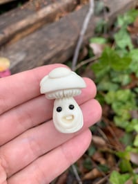 Image 1 of Tiny White Mushroom