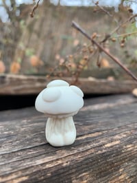 Image 3 of Tiny White Mushroom