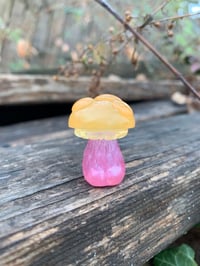 Image 2 of Orange and Pink Tiny Mushroom