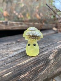 Image 1 of Yellow Tiny Mushroom