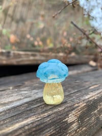 Image 2 of Blue and Yellow Tiny Mushroom